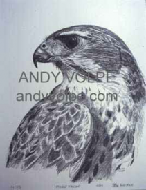 Andy Volpe Sample Art